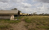 Our camp